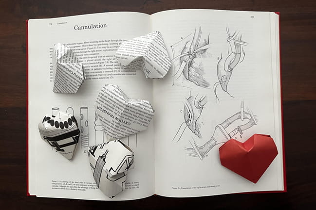 paper hearts on an open text book