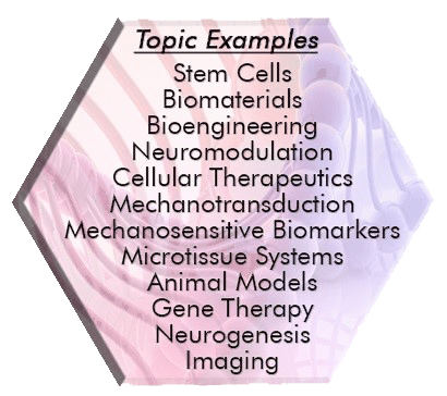 Topics: stem cells, biomaterials, bioengineering, neuromodulation, cellular therapeutics, mechanotransduction, mechanosensitive biomarkers, microtissue systems, animal models, gene therapy, neurogenesis, imaging